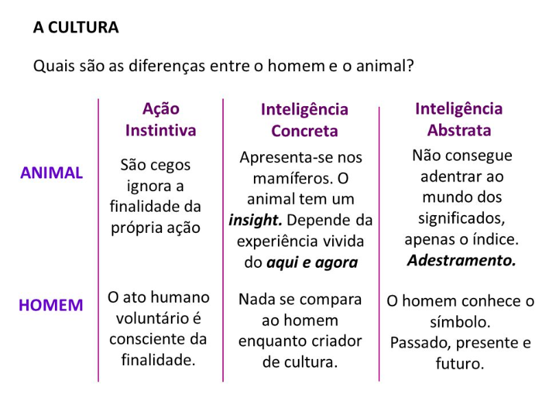 DIFERENÇAS ENTRE O HOMEM E O ANIMAL puzzle