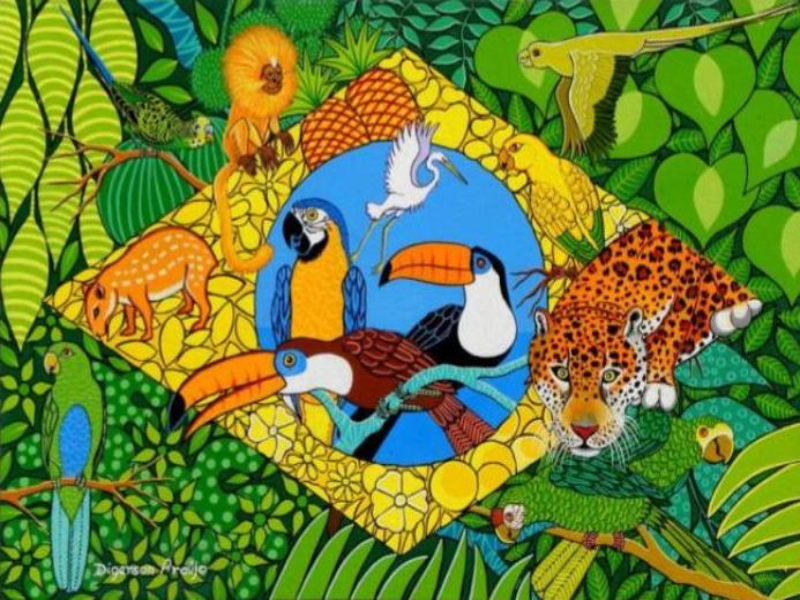 Qubra cabeça - Animais da Amazônia puzzle