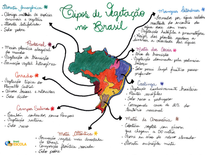 MAPA CONCEITUAL: As vegetações do Brasil. puzzle