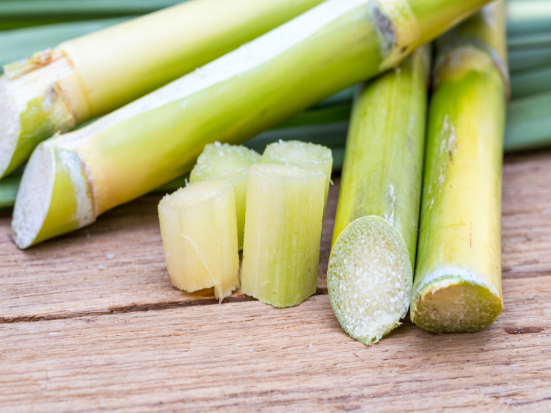 Sugarcane! puzzle