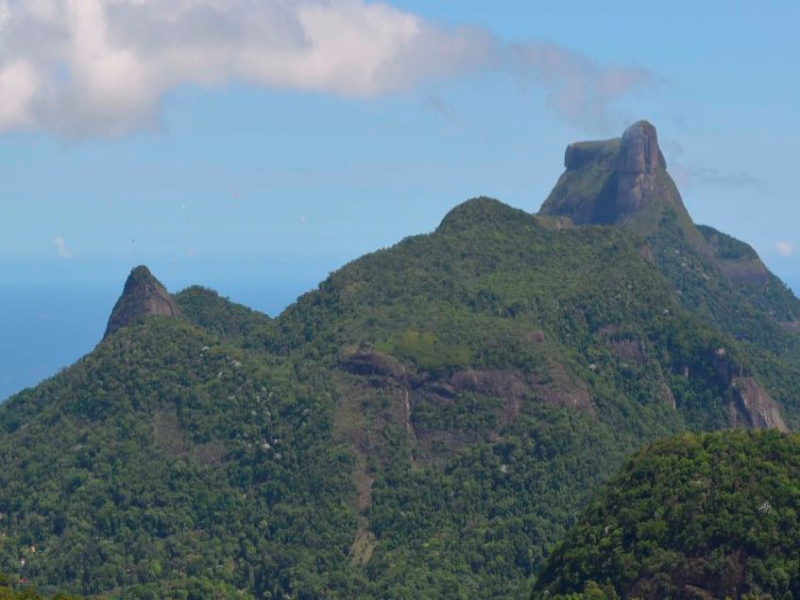 Parque Nacional da Tijuca puzzle