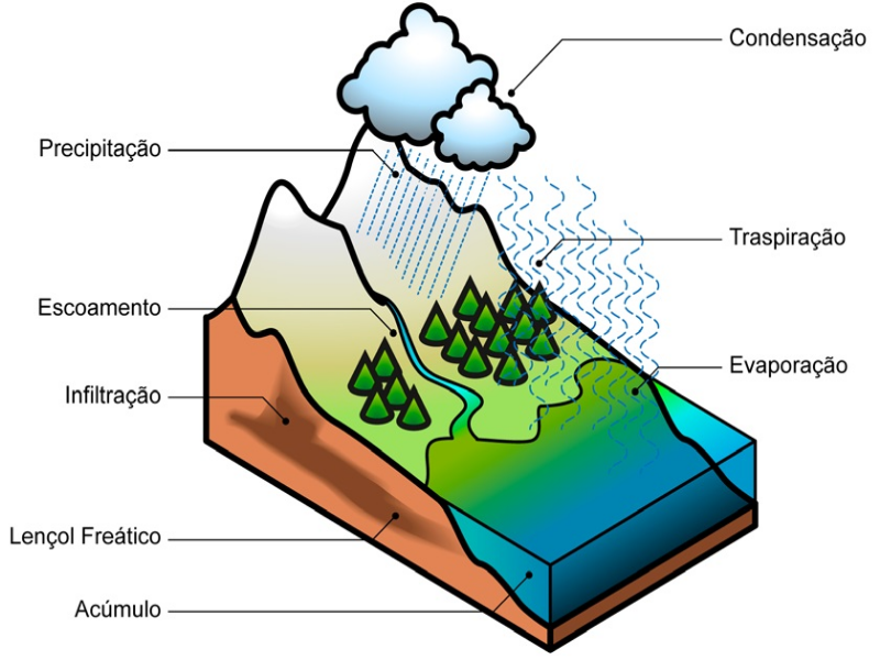 Monte o quebra-cabeça e descubra qual ciclo biogeoquímico ele representa. puzzle