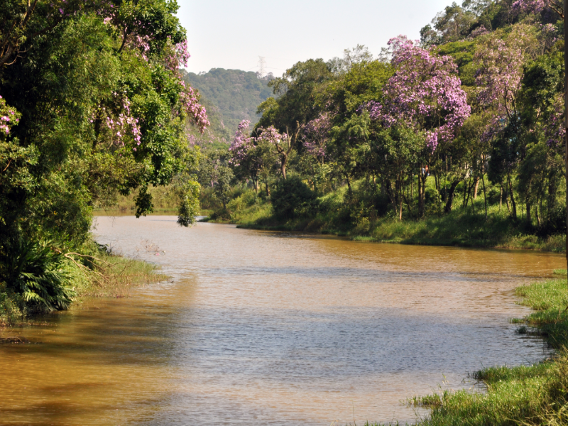 Descubra uma das belezas do Parque do Pedroso neste quebra-cabeças puzzle