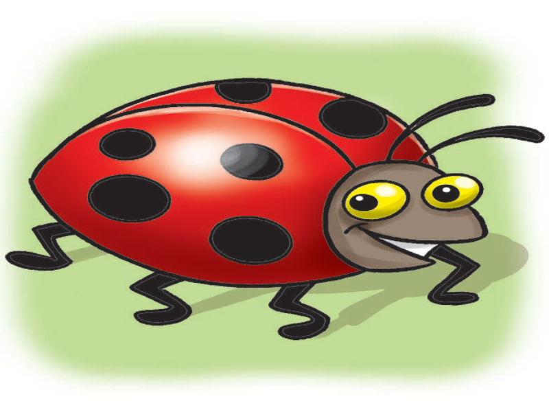 LADYBUG BB1L9 puzzle