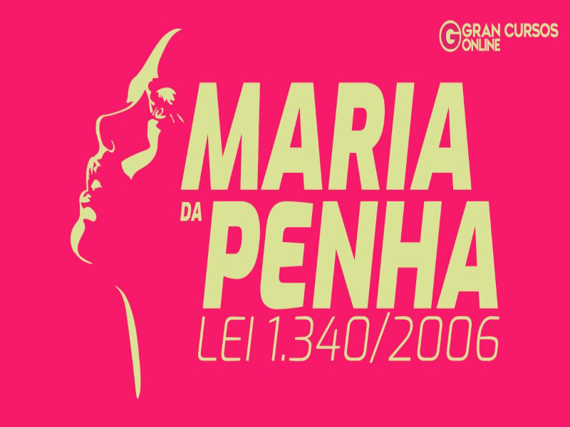 Lei Maria da Penha puzzle