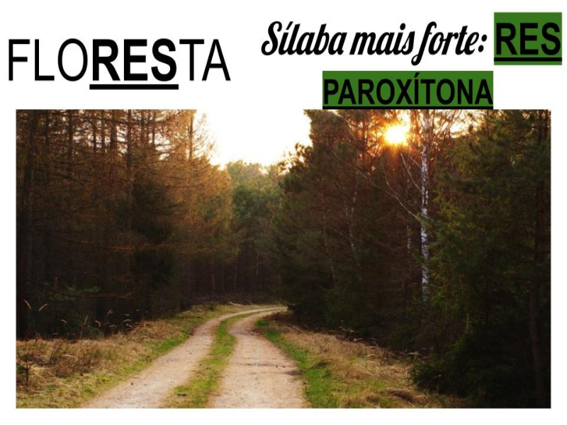 Sílaba Tônica - FLORESTA puzzle