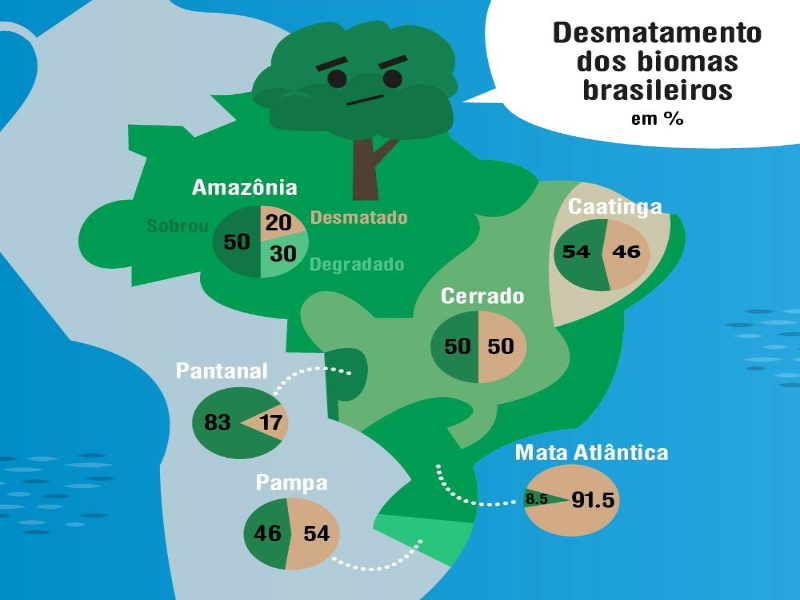 Mapa sobre a destruição dos biomas brasileiros puzzle