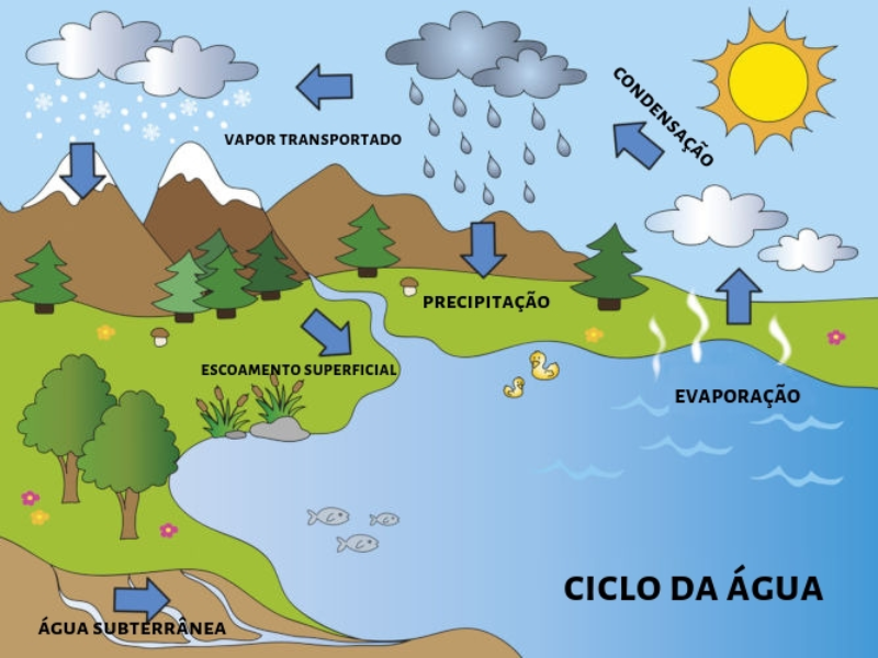 Ciclo da água para alunos puzzle