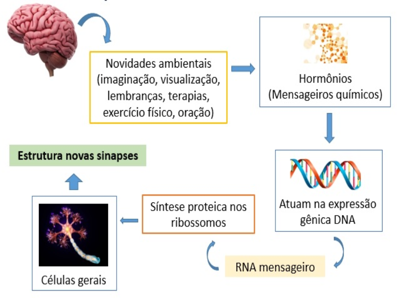 Aspecto molecular da consciência puzzle