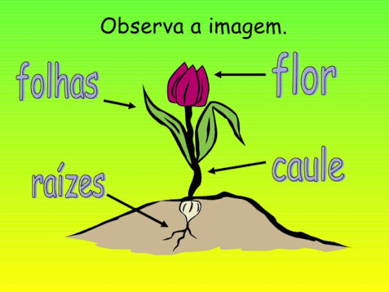 Aula de ciências puzzle