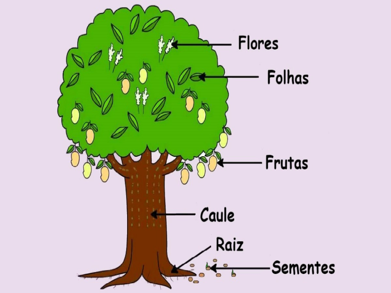 QUEBRA CABEÇA PLANTAS puzzle