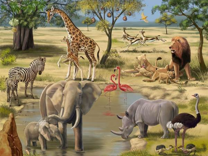 WILD ANIMALS puzzle