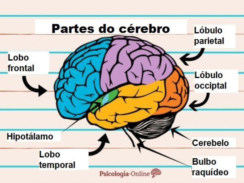 corpo e mente puzzle