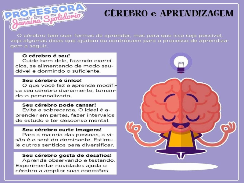 O Cérebro e a Aprendizagem puzzle