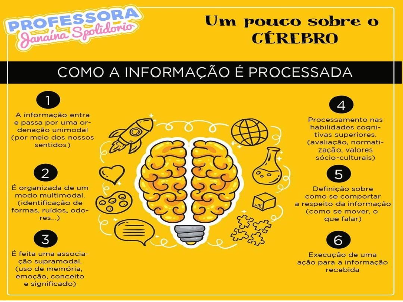 Como a Informação é processada? puzzle