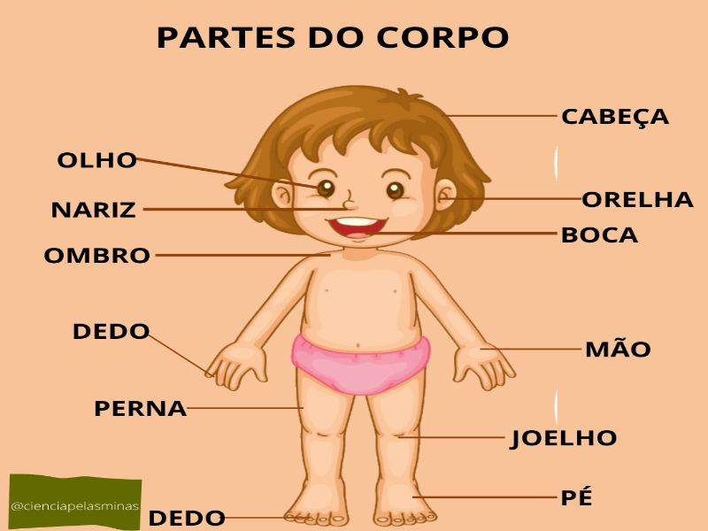 Conhecer e identificar as partes  do corpo humano.  puzzle