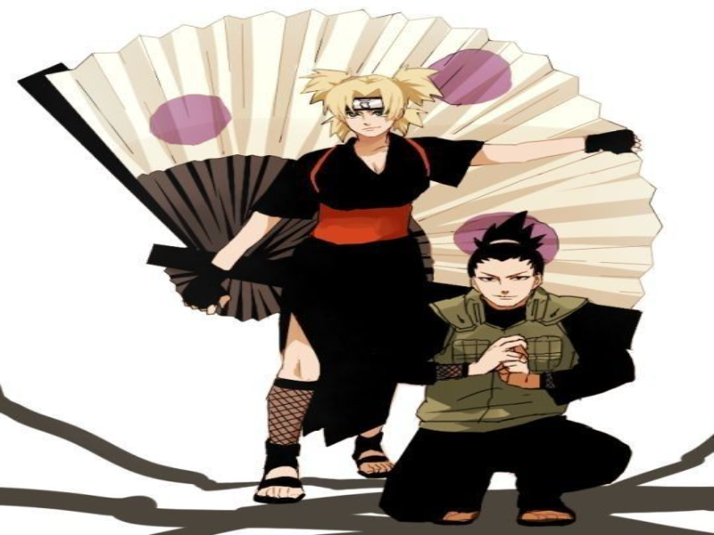 Temari e shikamaru puzzle