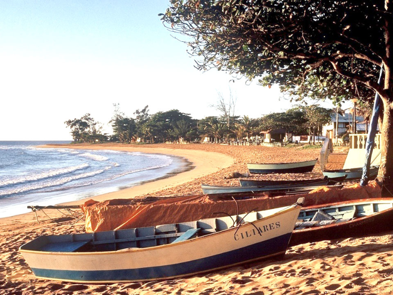 QUEBRA CABEÇA - PRAIA DE MANGUINHOS puzzle