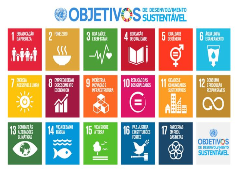 Objetivos do Desenvolvimento Sustentável - ONU puzzle