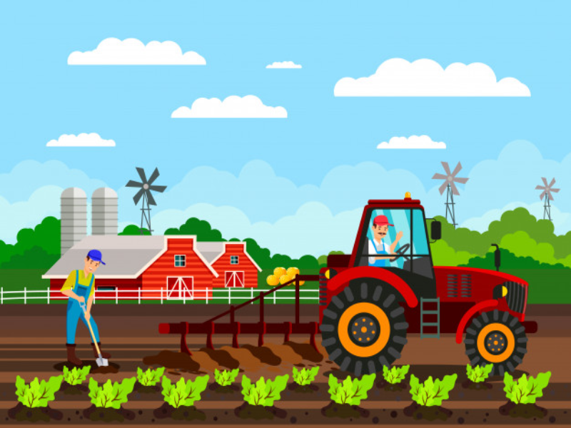 A agricultura puzzle