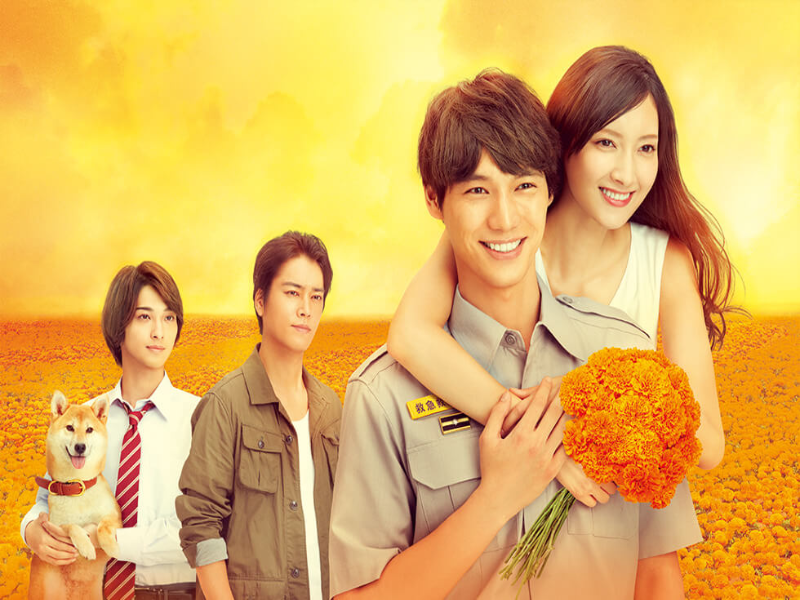 Próximo J-Drama Mahal Dramas Fansub puzzle