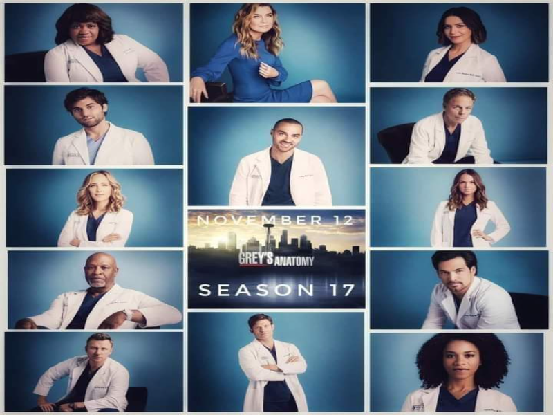 Greys Anatomy 17° Temporada puzzle