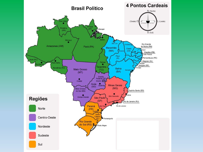 REGIONALIZAÇÃO puzzle