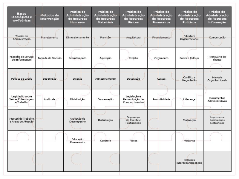 Estrutura do conhecimento sobre administração de serviços de enfermagem puzzle