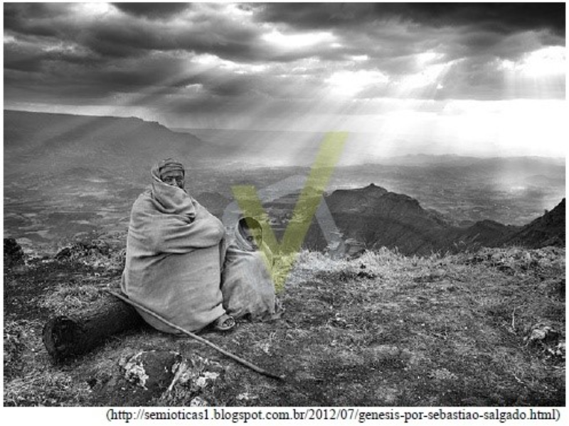 Obra Genesis - Sebastião Salgado puzzle