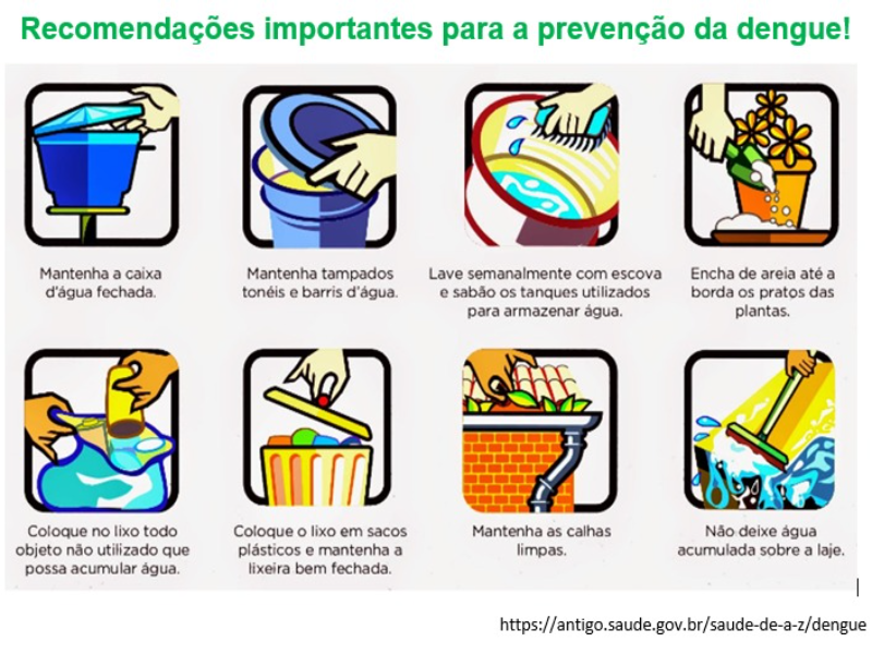 Prevenção contra dengue_5º ano puzzle