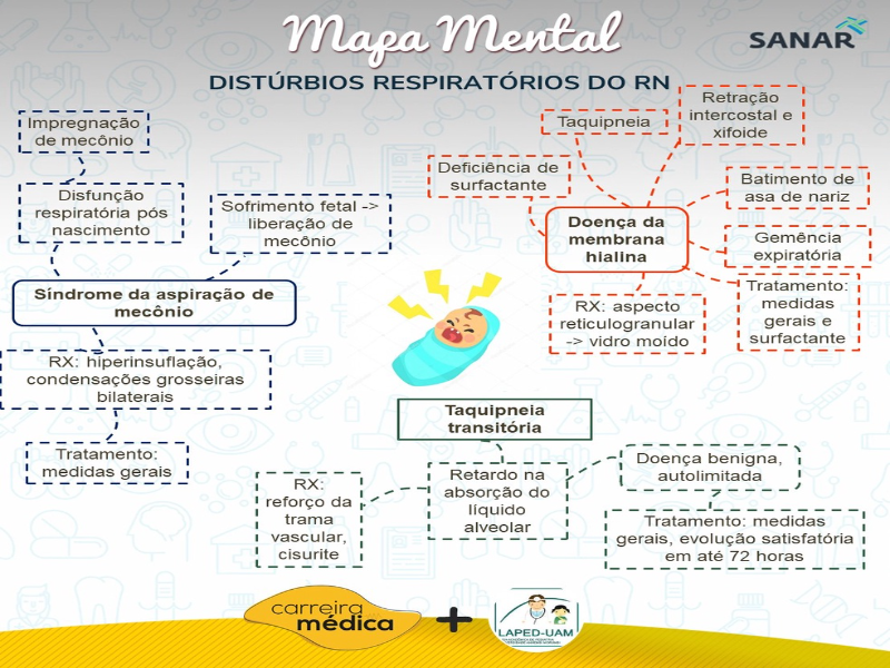 DISTÚRBIOS RESPIRTÓRIOS DO RN puzzle