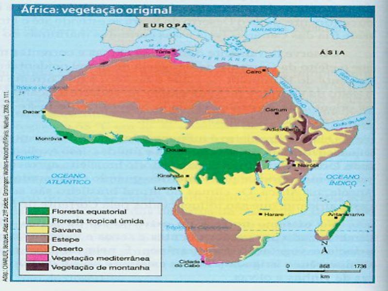 VEGETAÇÕES DA ÁFRICA puzzle