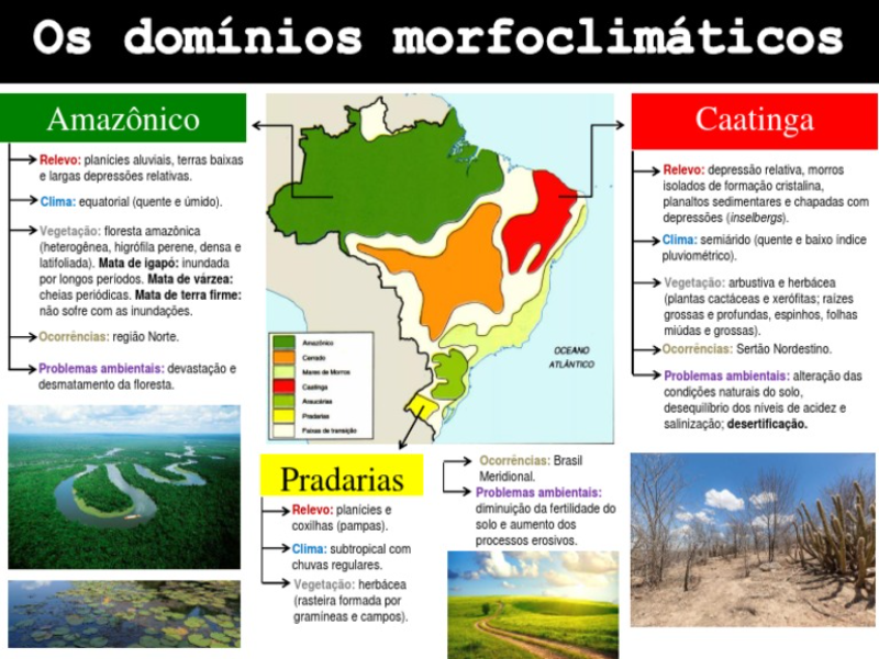 Mapa dos dominios morfolimáticos puzzle