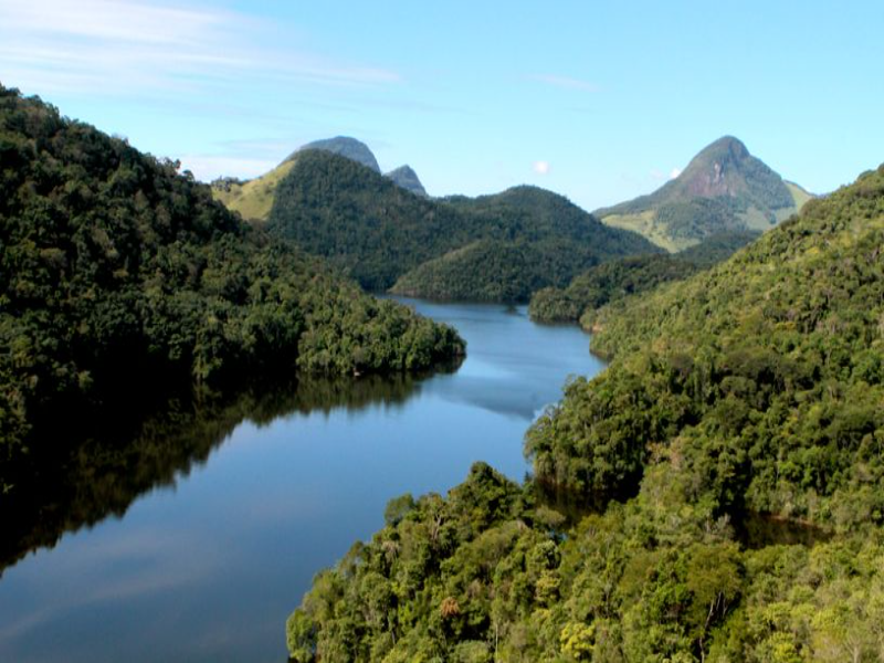 CARIACICA- RESERVA BIOLÓGICA DE UDAS BOCAS puzzle